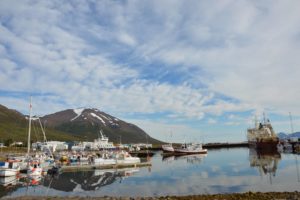 Dalvik harbor tours North Iceland