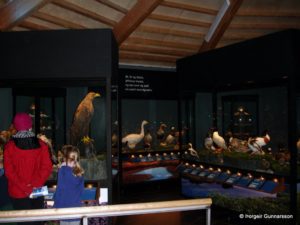 Bird museum Myvatn